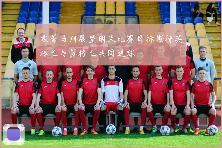 蒙哥马利展望明天比赛目标期待英格兰与苏格兰共同进球