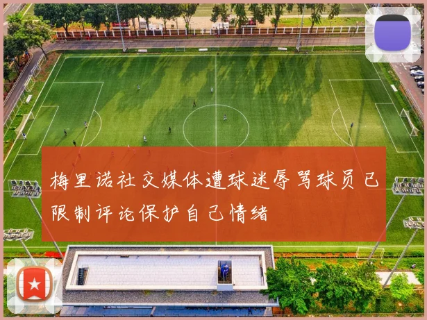 梅里诺社交媒体遭球迷辱骂球员已限制评论保护自己情绪