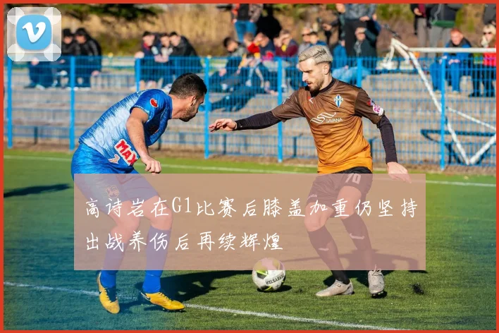 高诗岩在G1比赛后膝盖加重仍坚持出战养伤后再续辉煌